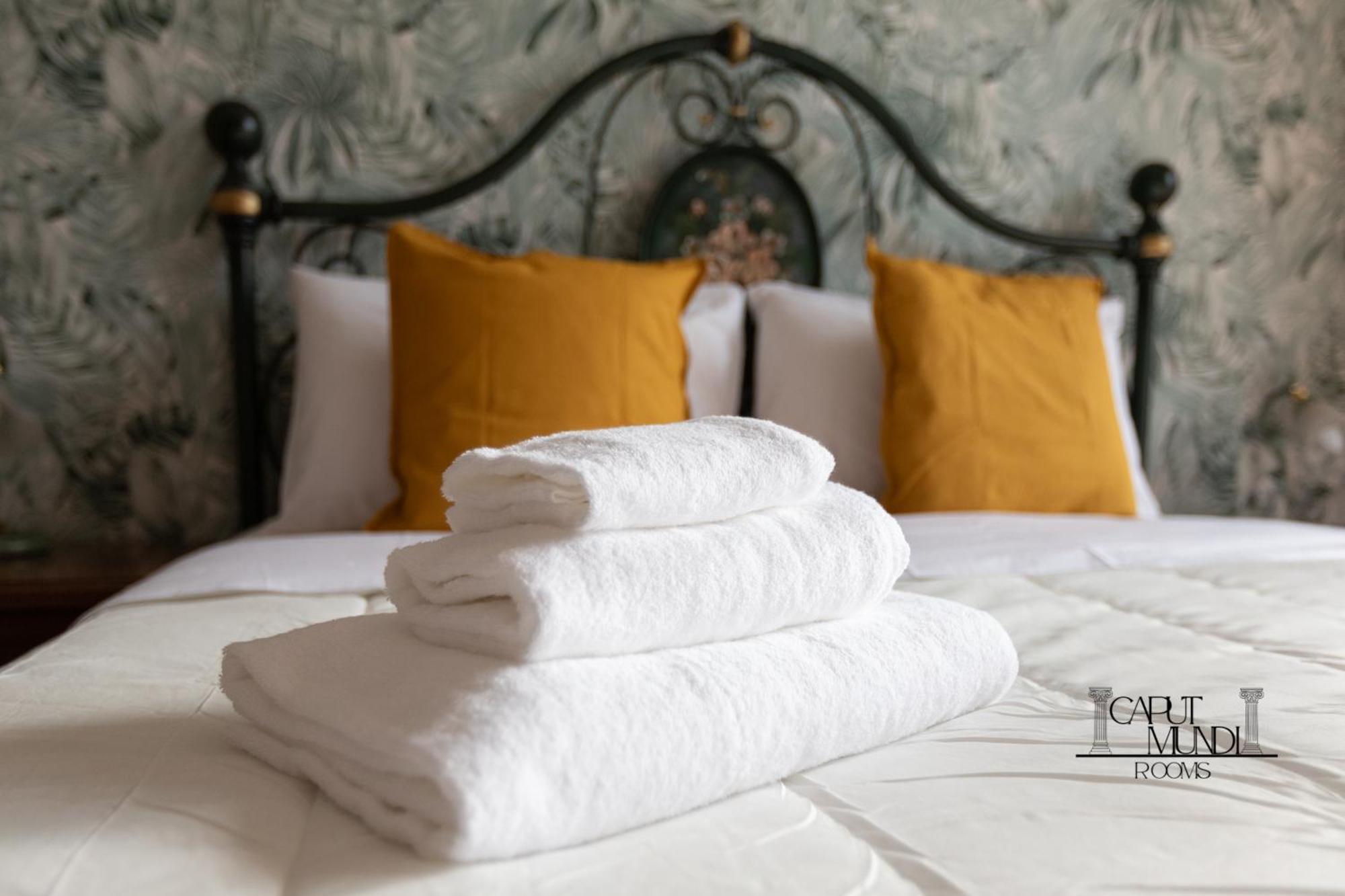 Caput Mundi Rooms - 100Mt To Metro A, Terrace, A-C, 15 Min To Center Рим Экстерьер фото